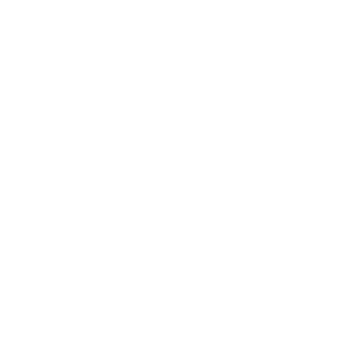 Northern Lights Trails